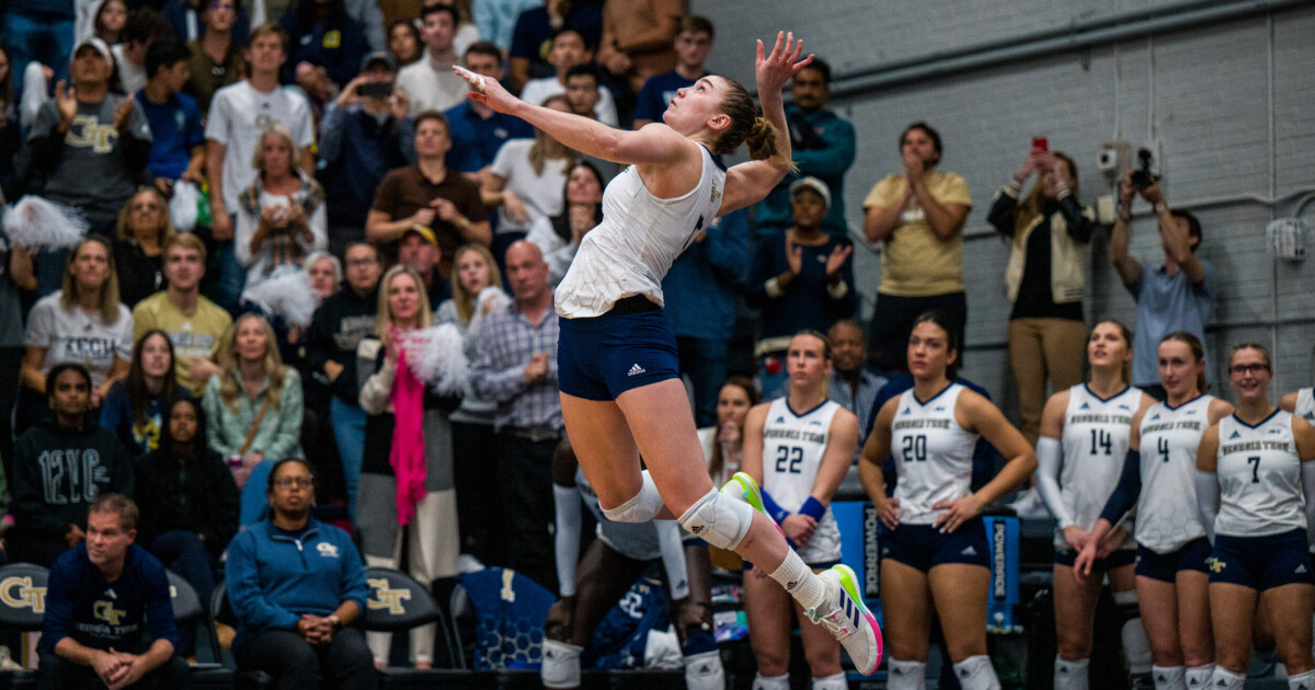 Bianca Bertolino – Volleyball — Georgia Tech Yellow Jackets