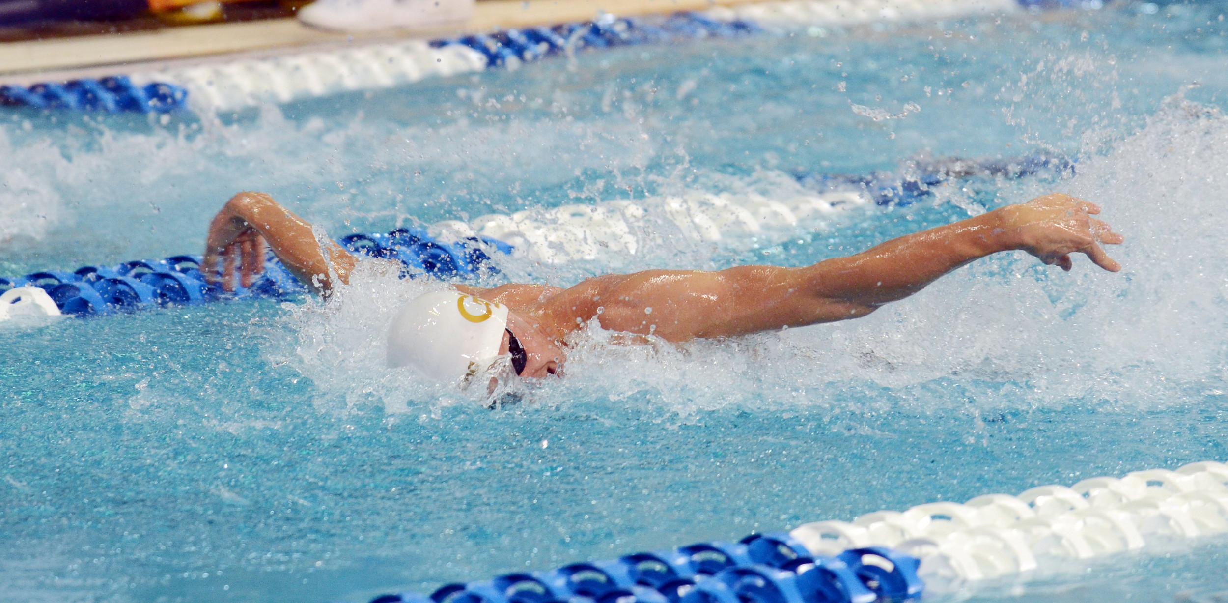 Nico van Duijn (2014 NCAA Swimming Championship, photo by Brendan Maloney)