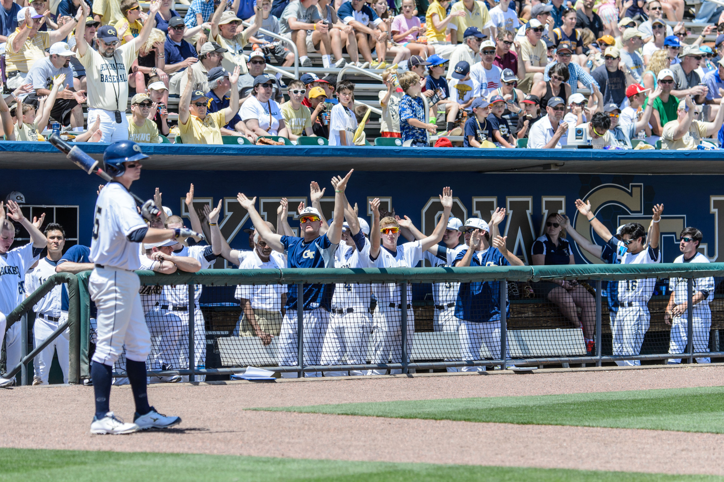 Georgia Tech crowd and dugout