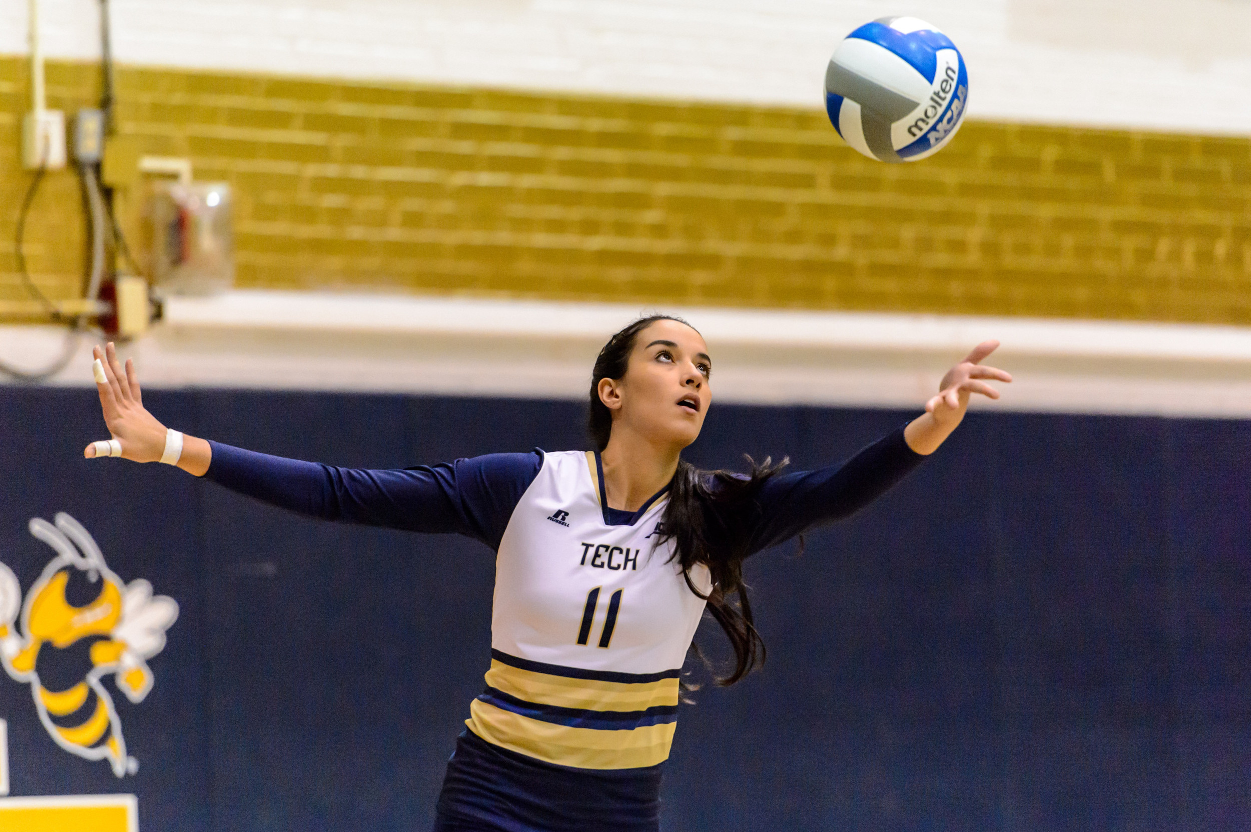 Gabriela Stavnetchei (11)