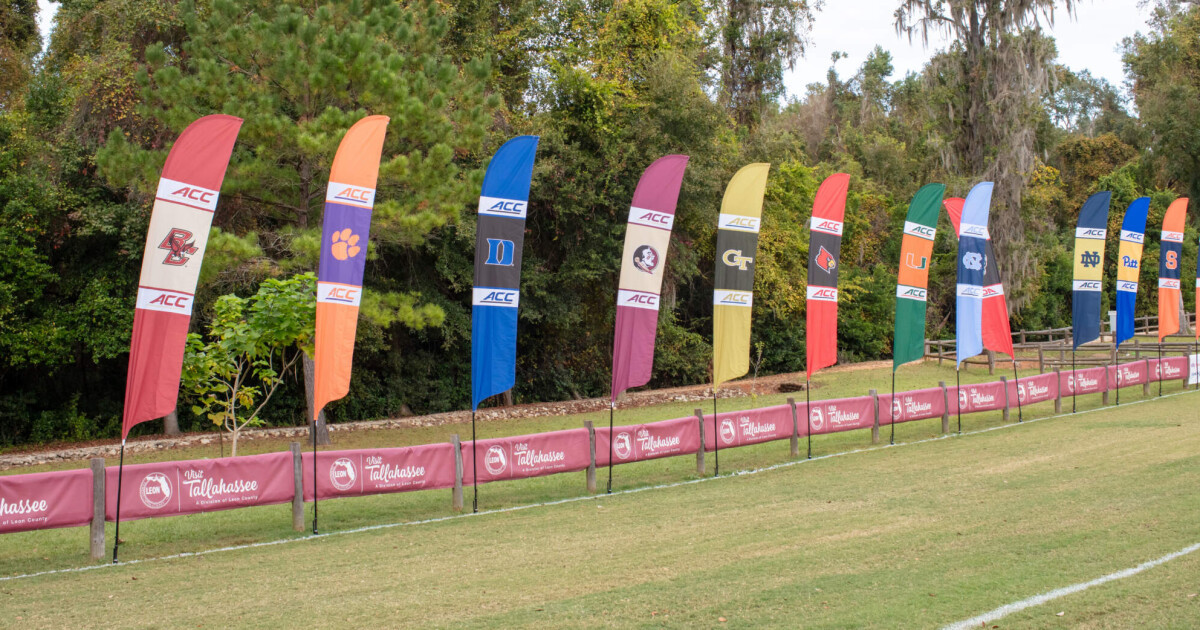 aHR0cHM6Ly9yYW1ibGlud3JlY2suY29tL3dwLWNv