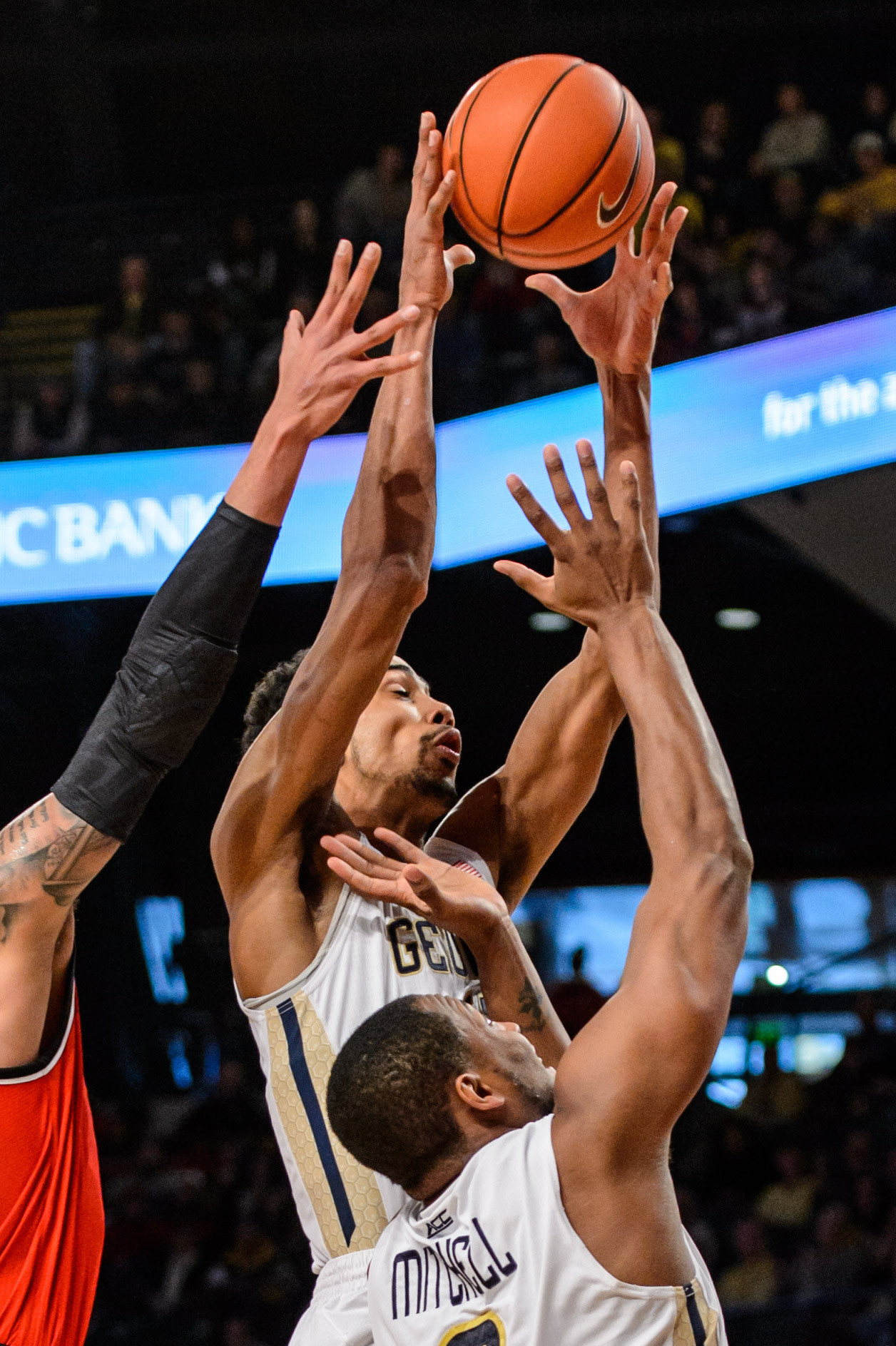 Quinton Stephens (12)