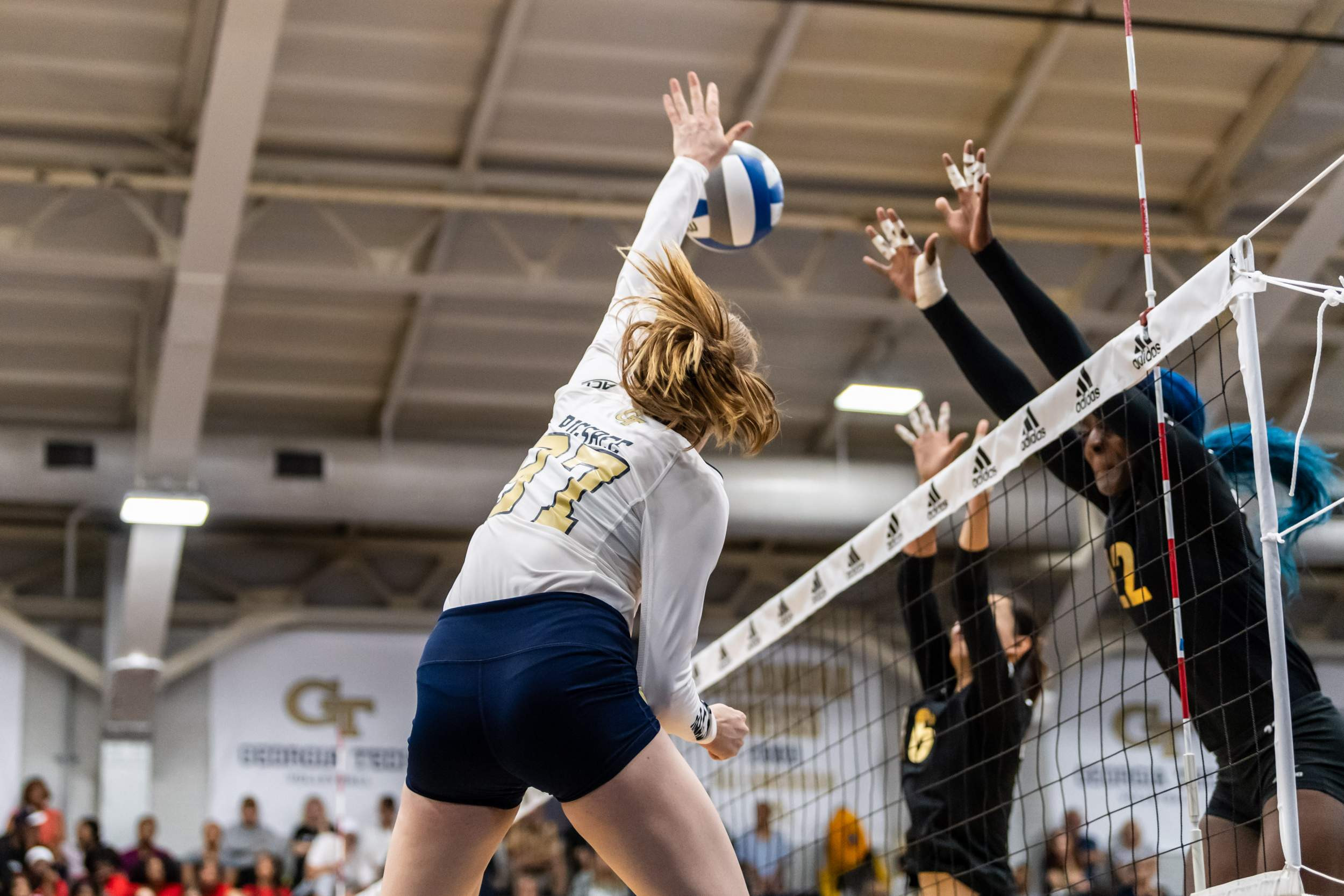 Photos Volleyball vs. Long Beach State Tech Yellow Jackets