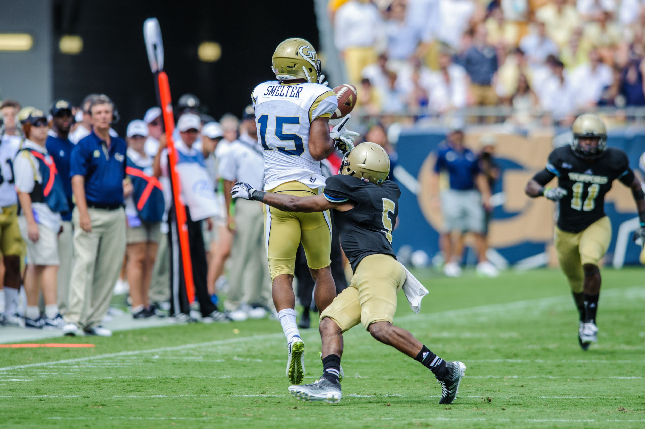 DeAndre Smelter (15)