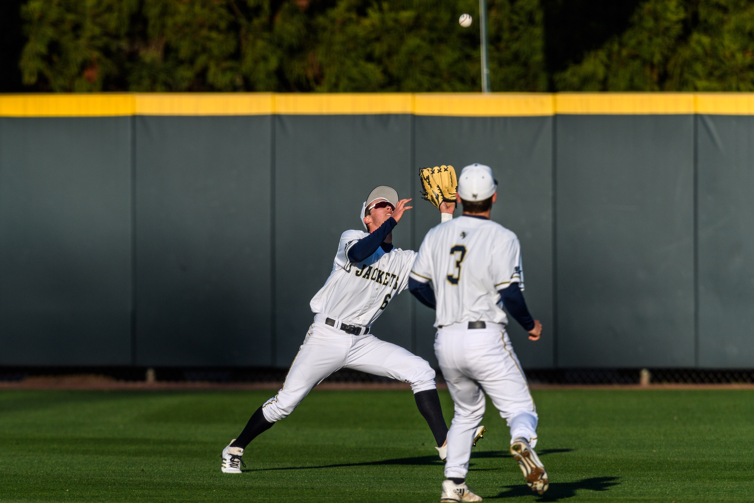 Michael Guldberg (6)