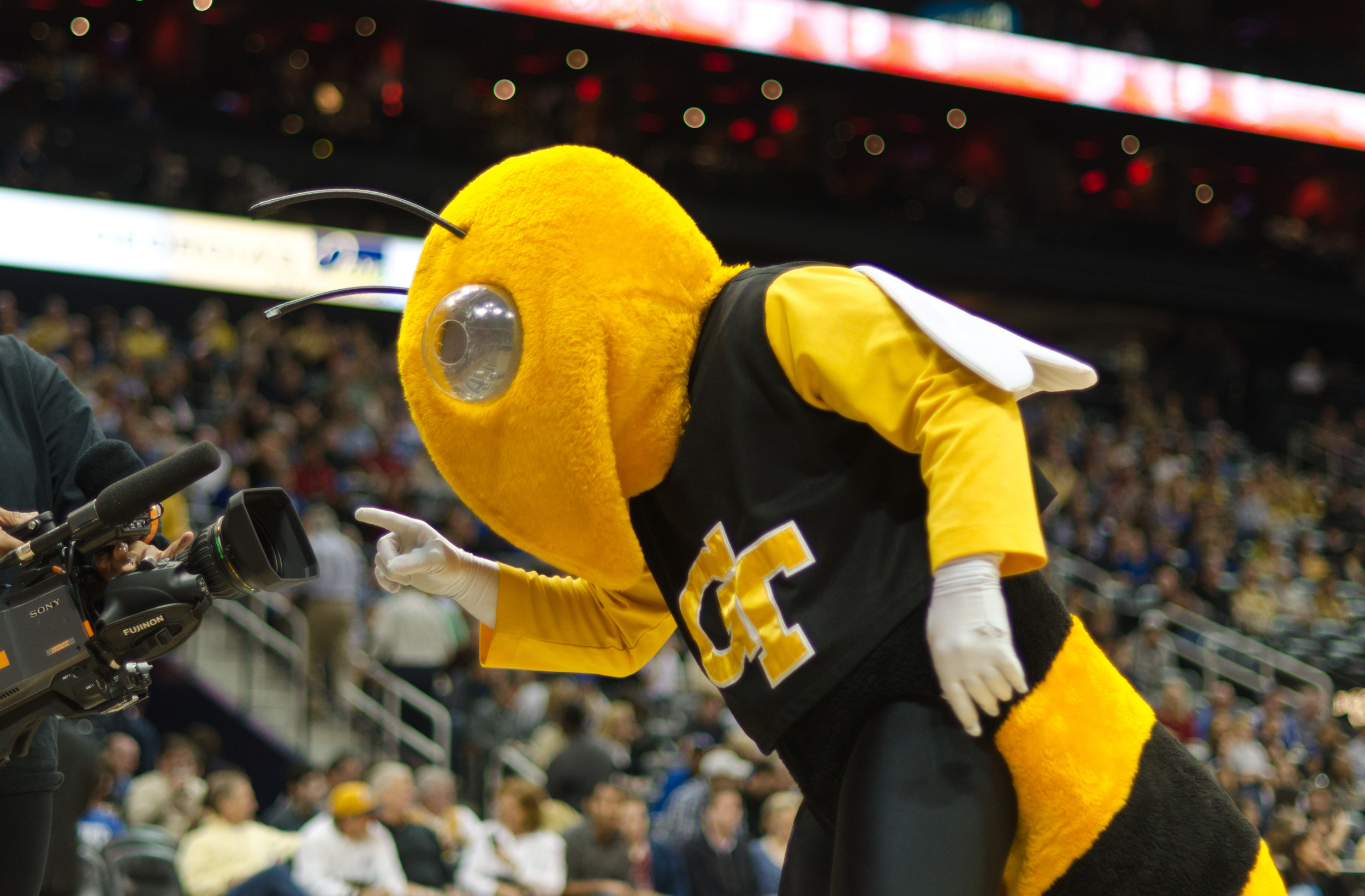 Buzz shows off for the camera.