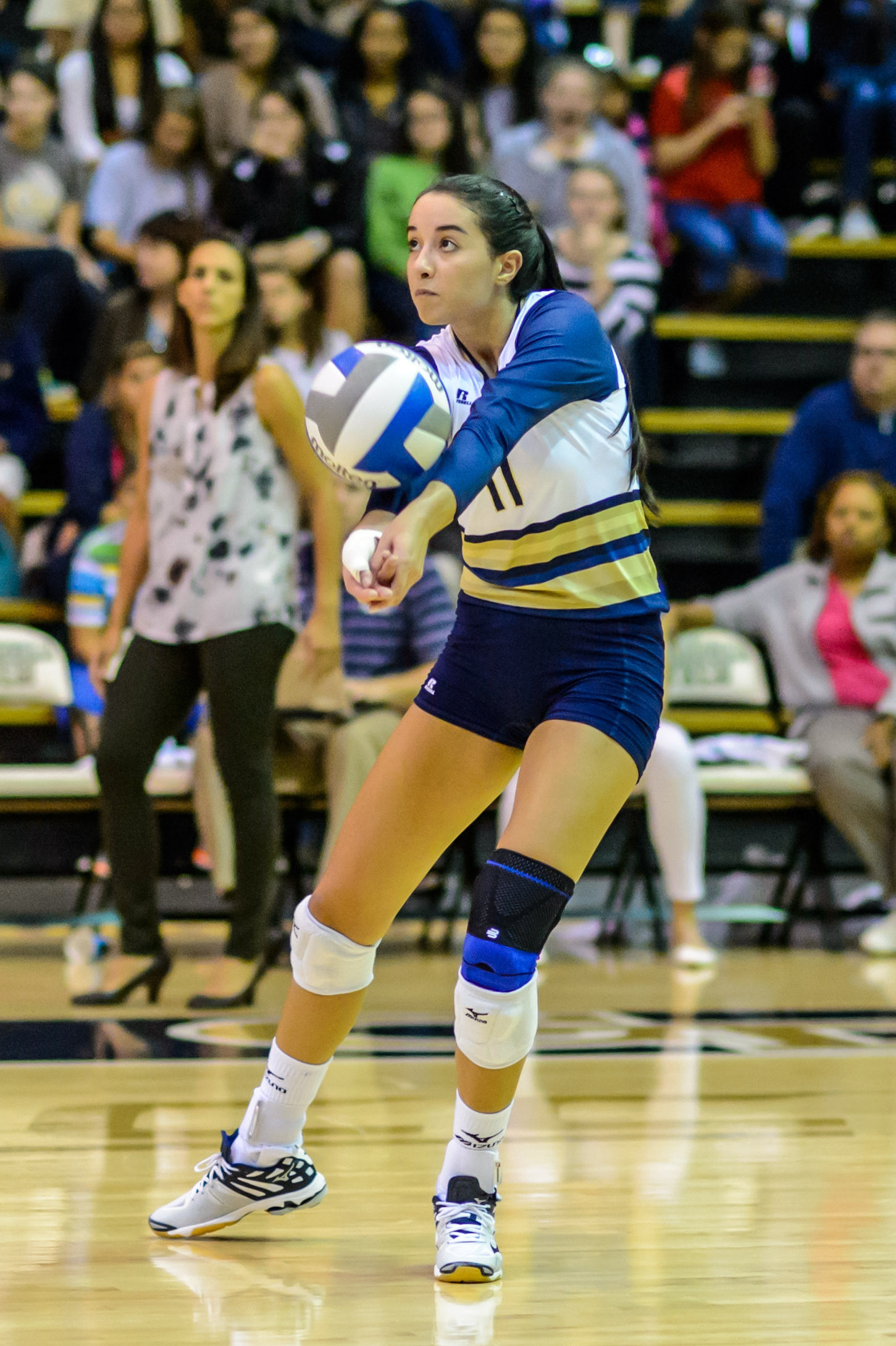 Gabriela Stavnetchei (11)