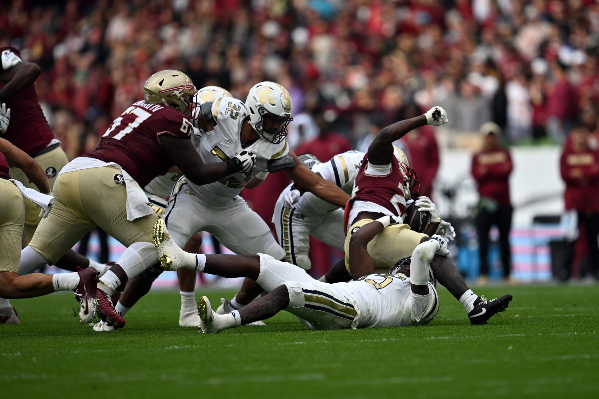 Defense - Florida State, 2024