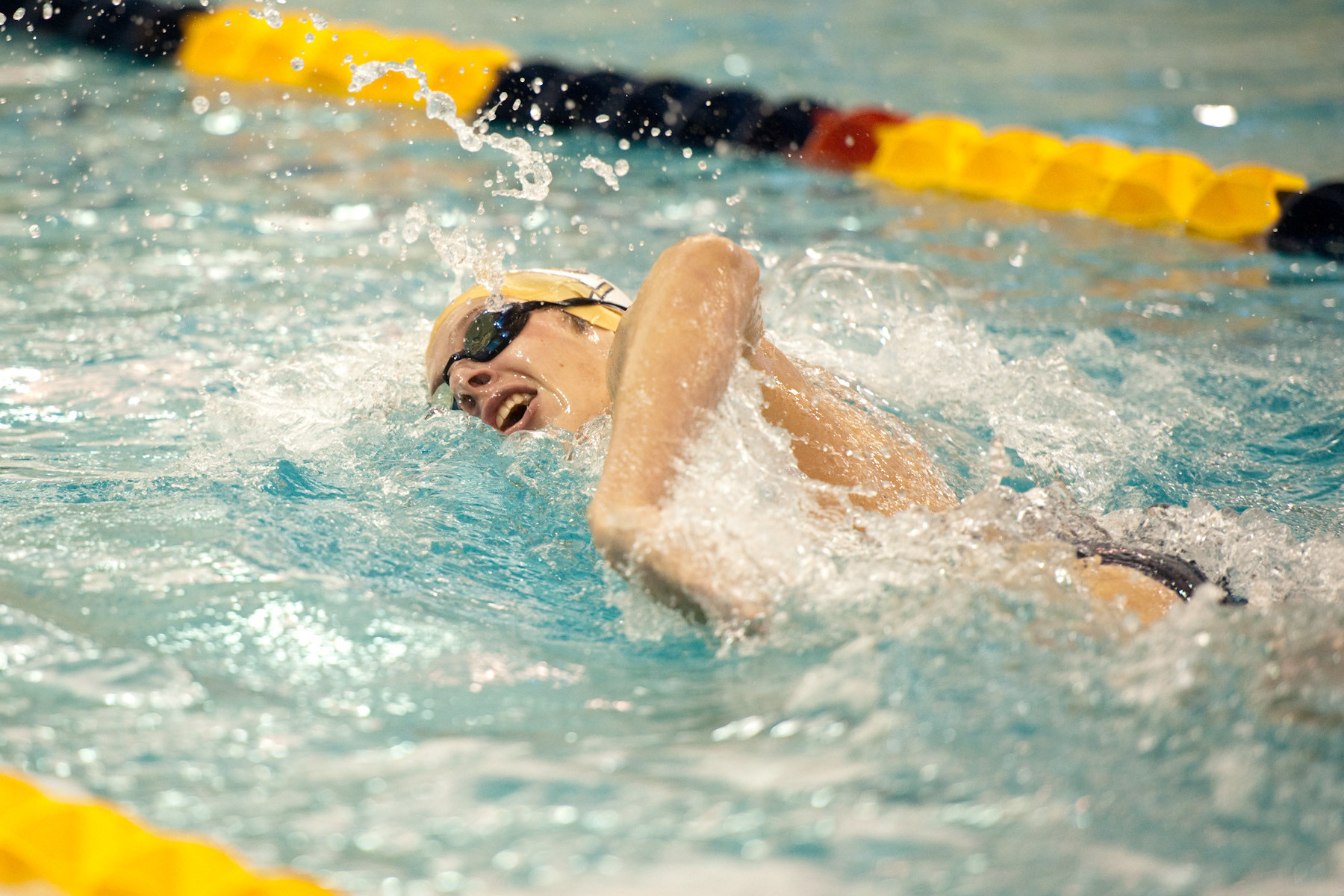 Swimming and Diving vs. Emory