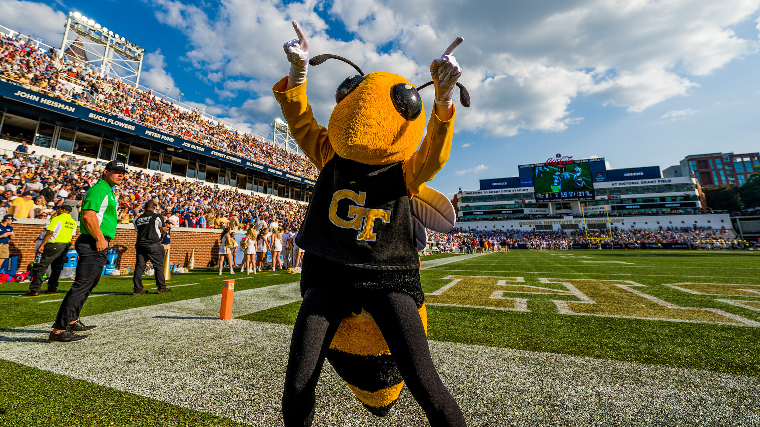 Buzz Mascot