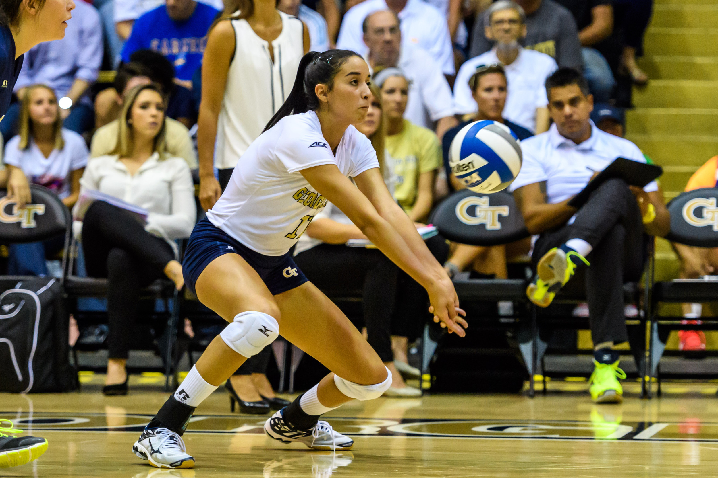 Gabriela Stavnetchei (11)