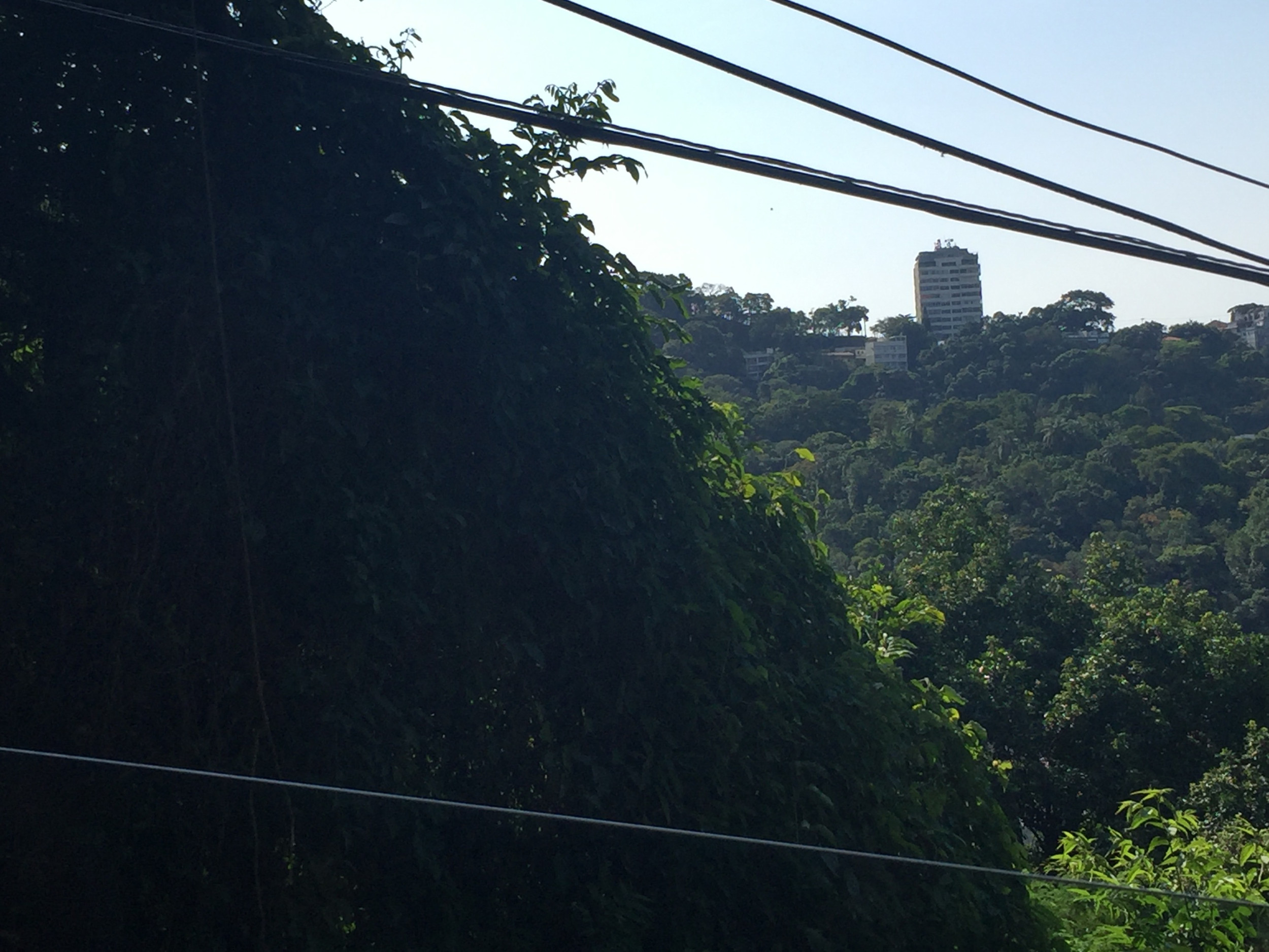 On the way up the mountain