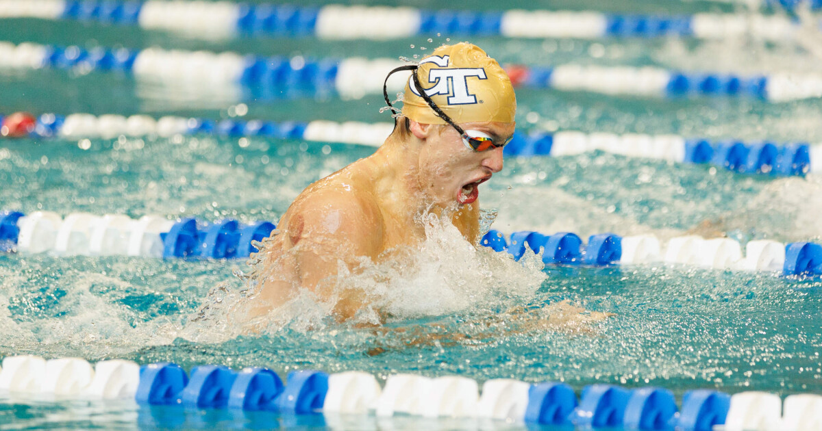 SwimDive Travels to Tallahassee for Dual Meet Against Florida State