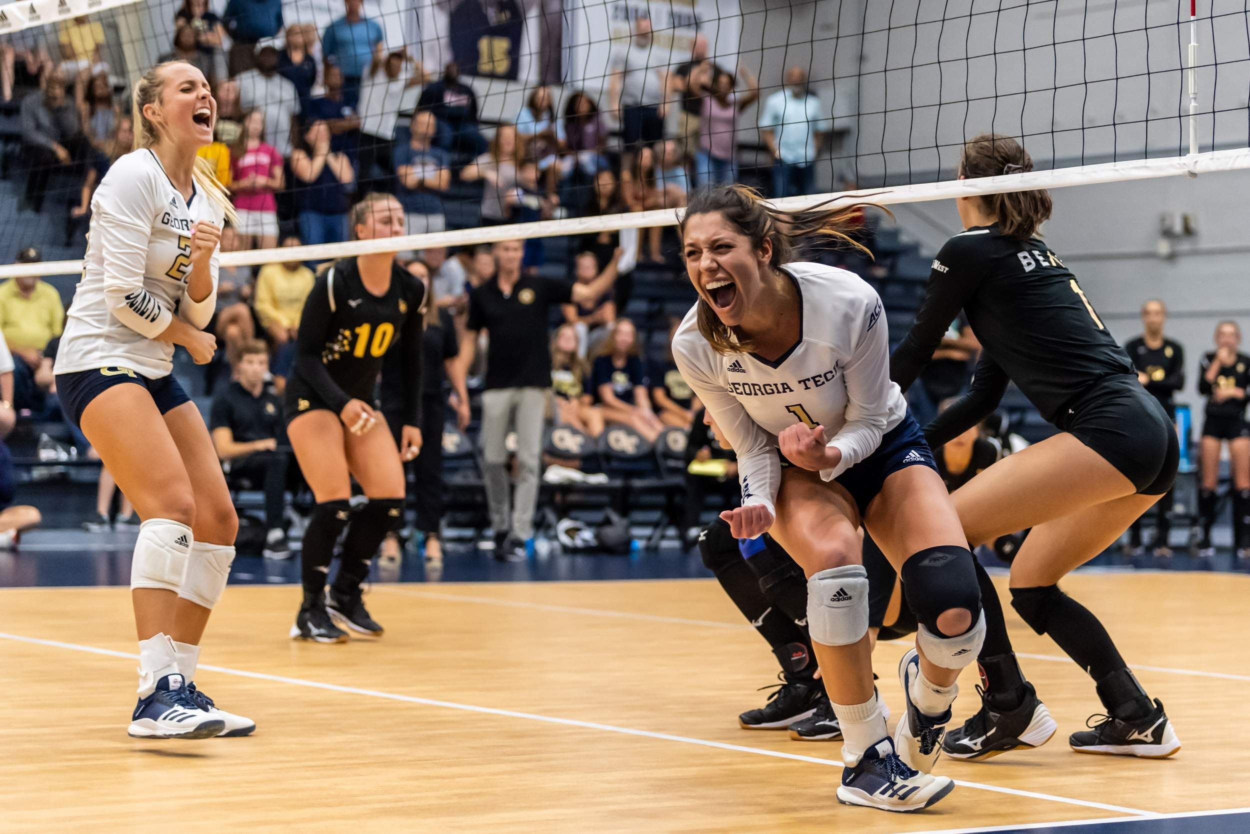 Photos Volleyball vs. Long Beach State Tech Yellow Jackets