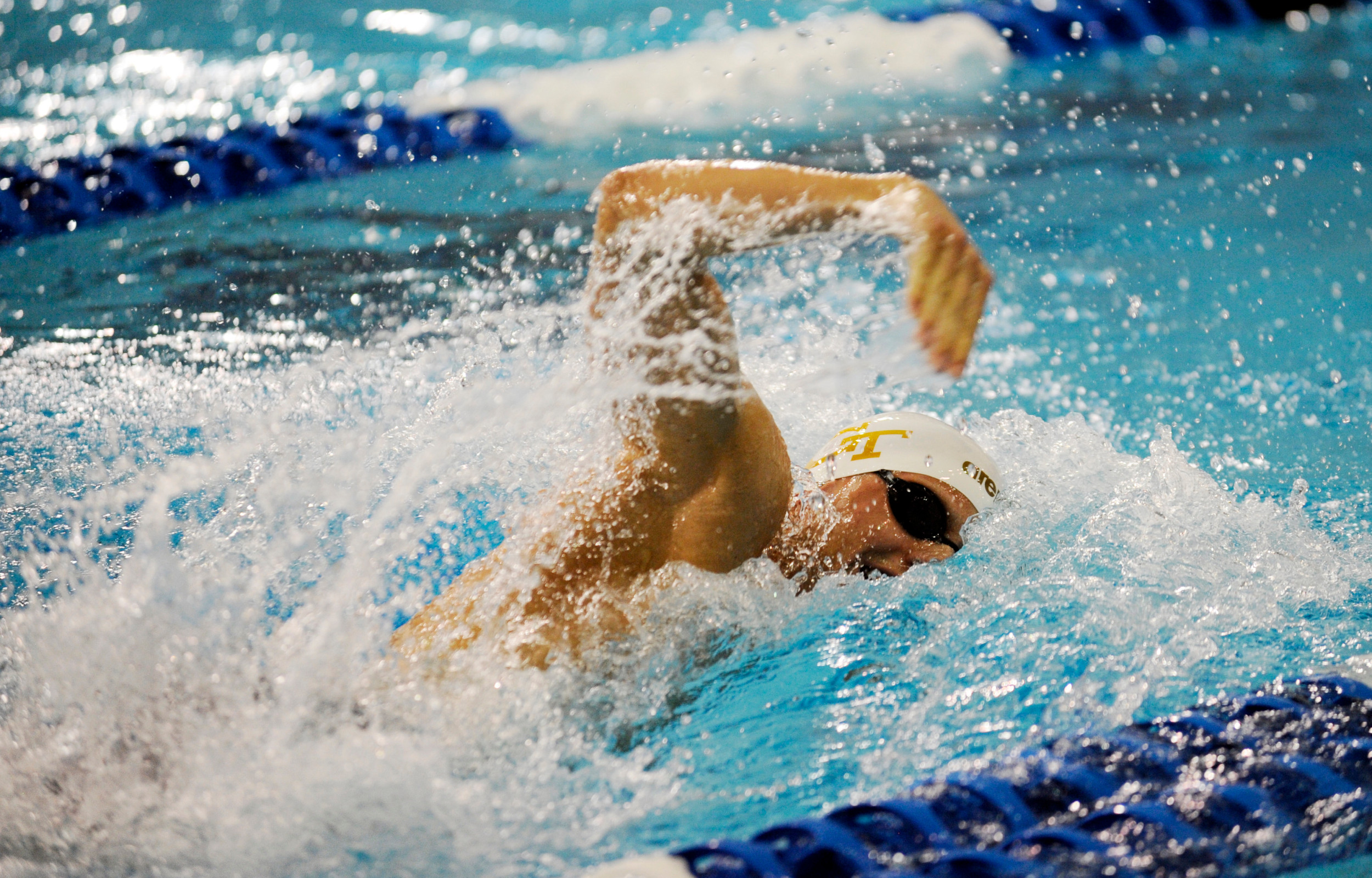Nico van Duijn (2014 NCAA Swimming Championship, photo by Brendan Maloney)