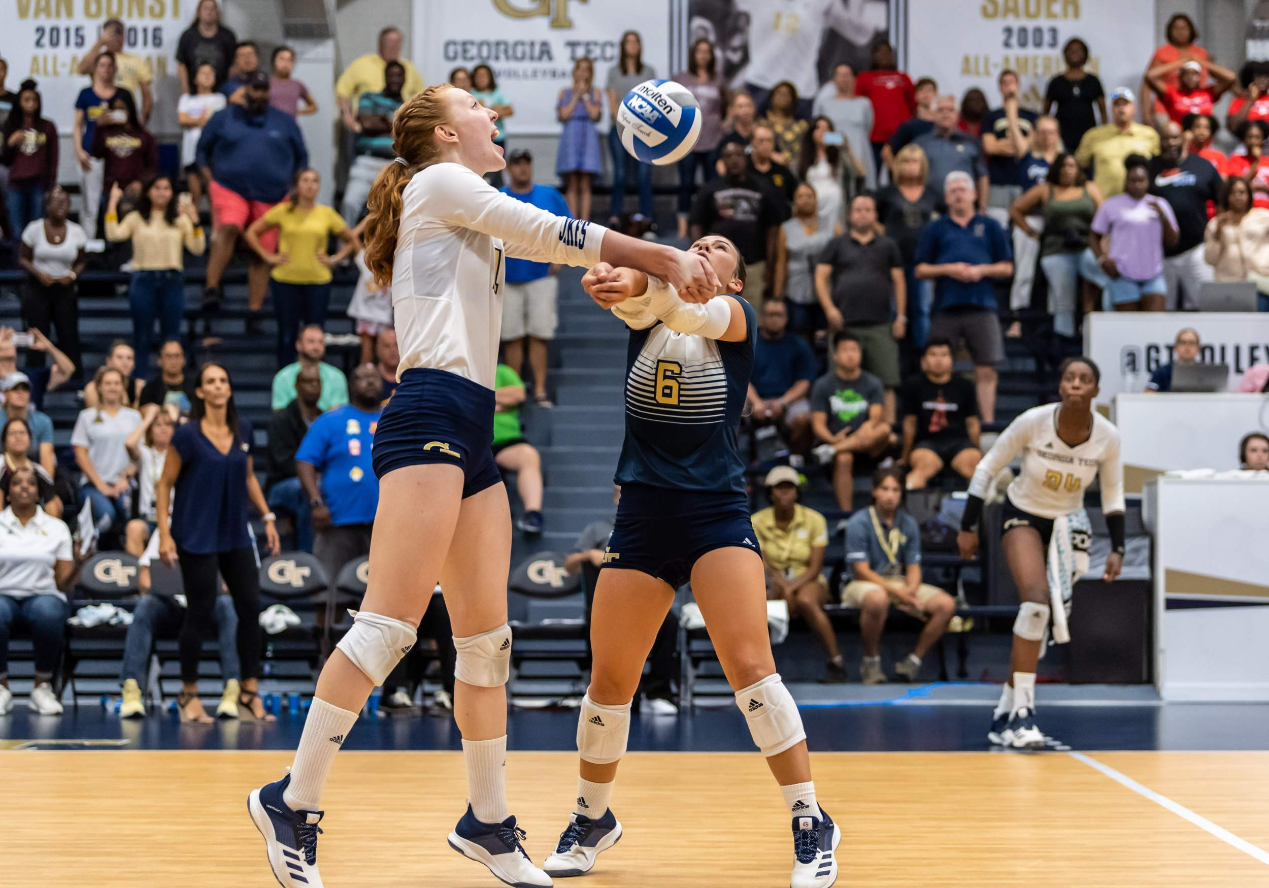 Photos Volleyball vs. Long Beach State Tech Yellow Jackets