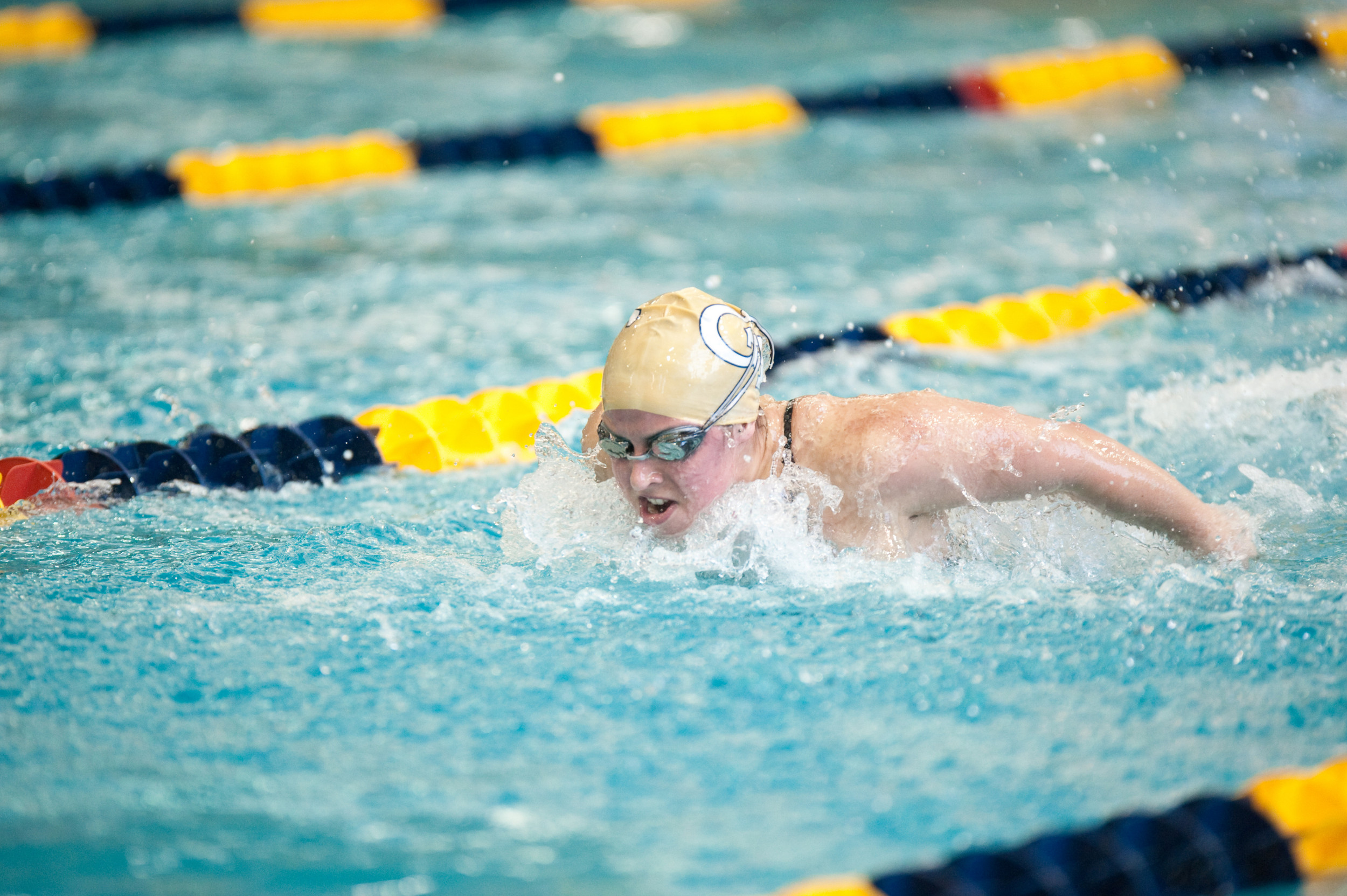 Women's 2010-2011 Swimming and Diving