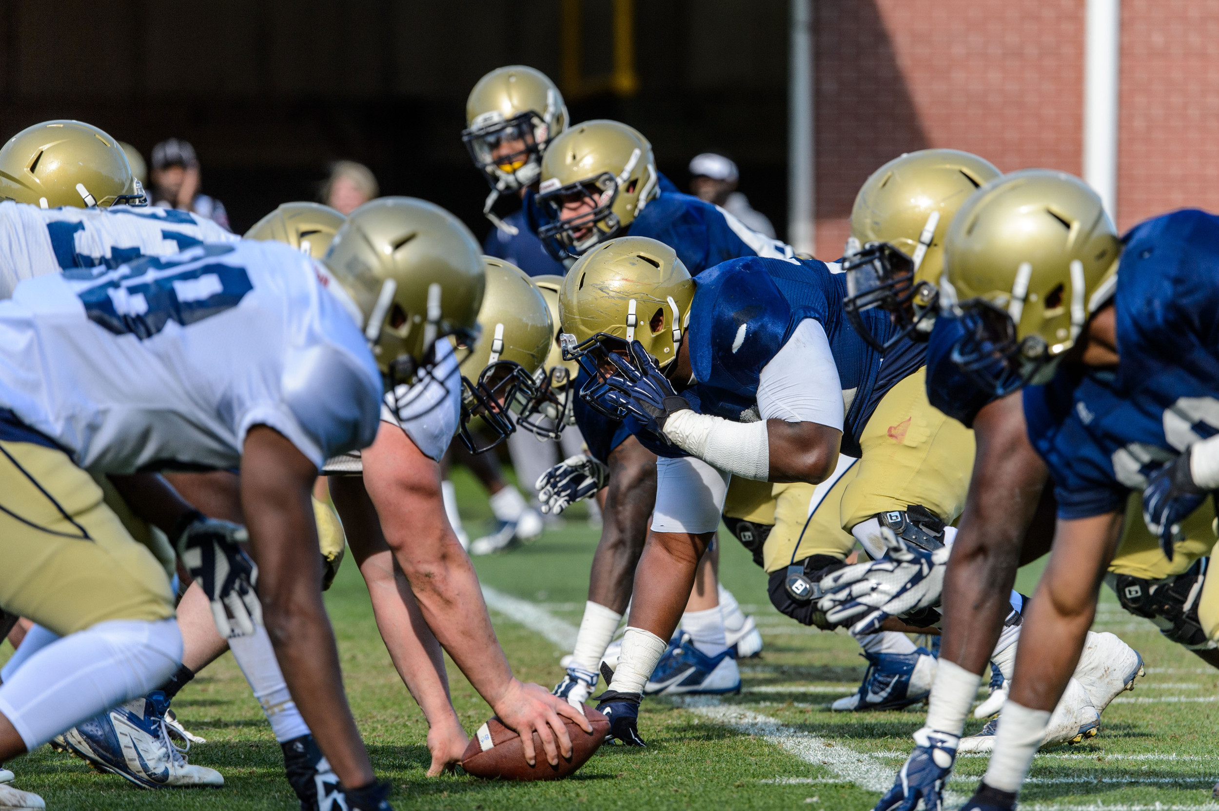 The Defense lines up against the Offense in #GTSpring15 practice
