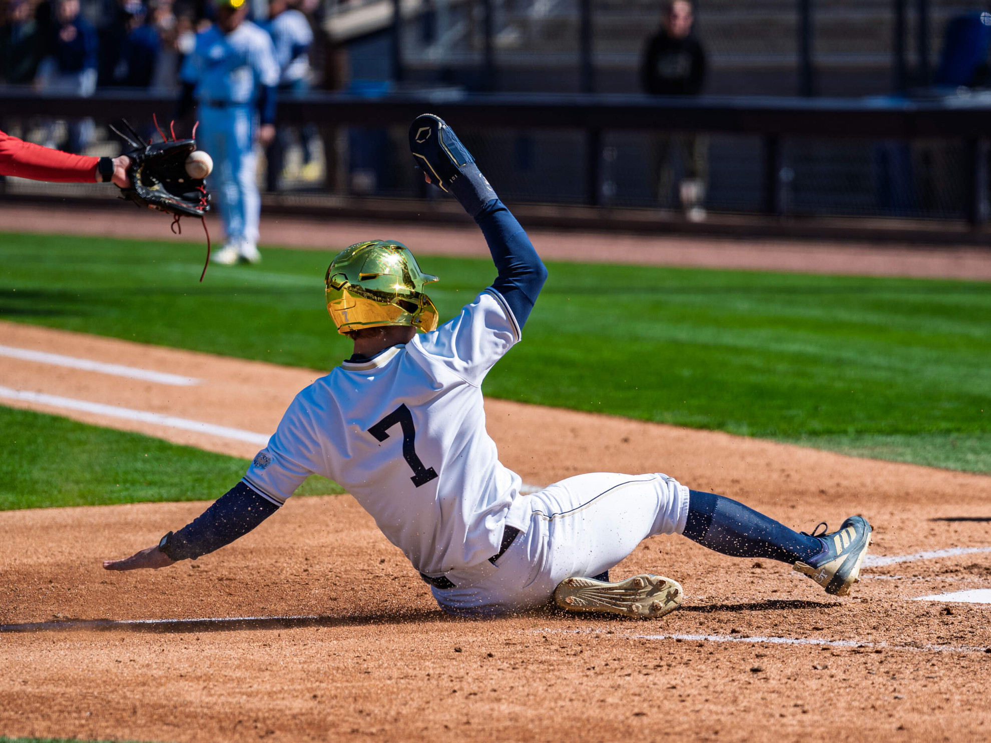 No. 2/5 Jackets Host Weekend Series vs. Northwestern - Georgia