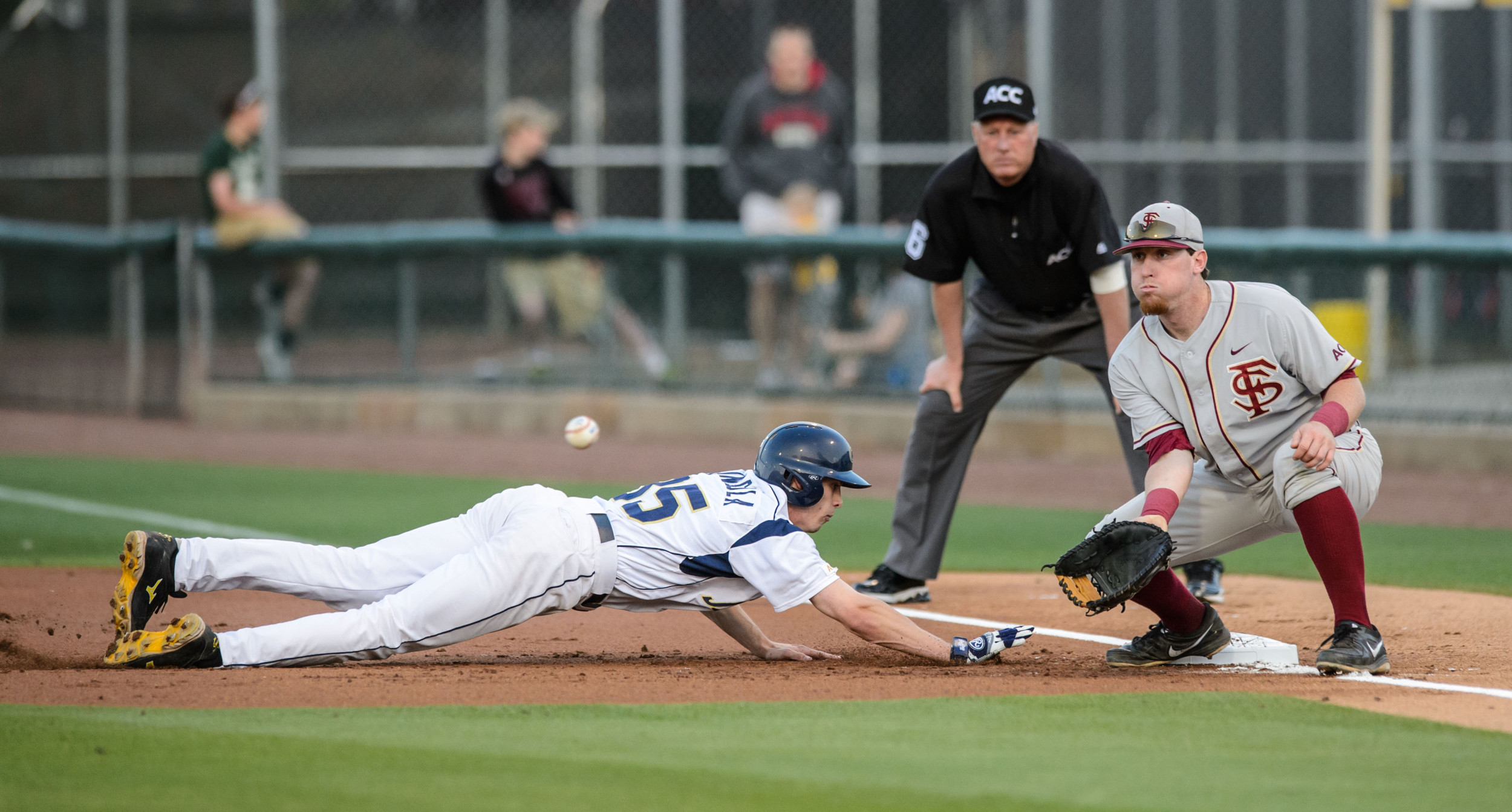 Daniel Spingola (35)